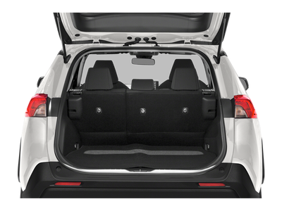 2019 Toyota Rav4 LE AWD (Natl)