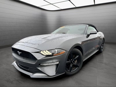 2019 Ford Mustang EcoBoost