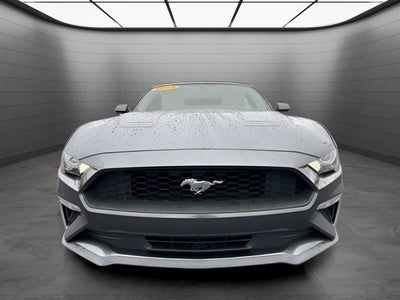 2019 Ford Mustang EcoBoost