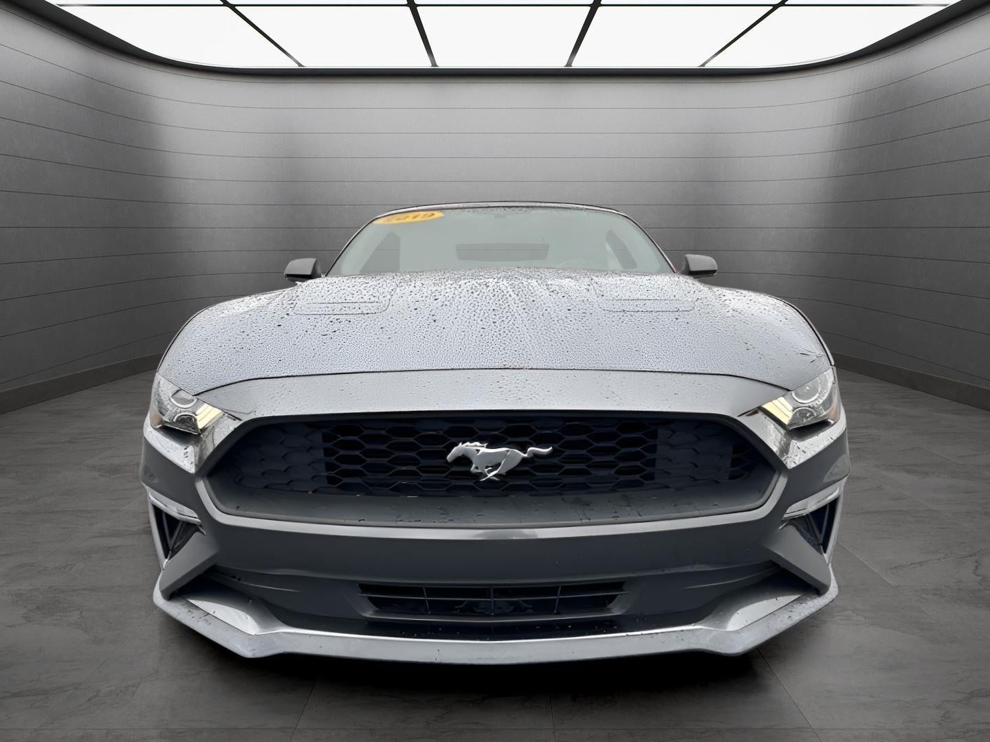 2019 Ford Mustang EcoBoost