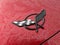 2001 Chevrolet Corvette 2dr Convertible