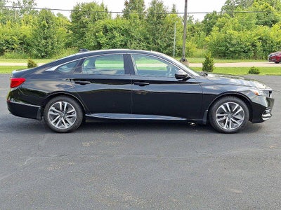2020 Honda Accord EX-L Sedan